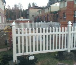 imag0459.jpg